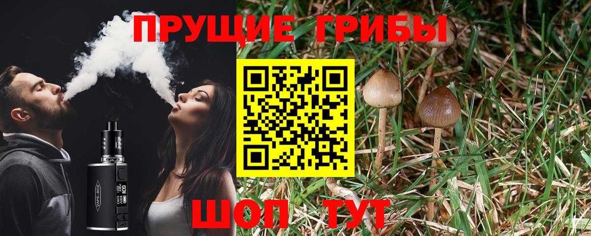 Псилоцибиновые грибы Psilocybine cubensis Кумертау