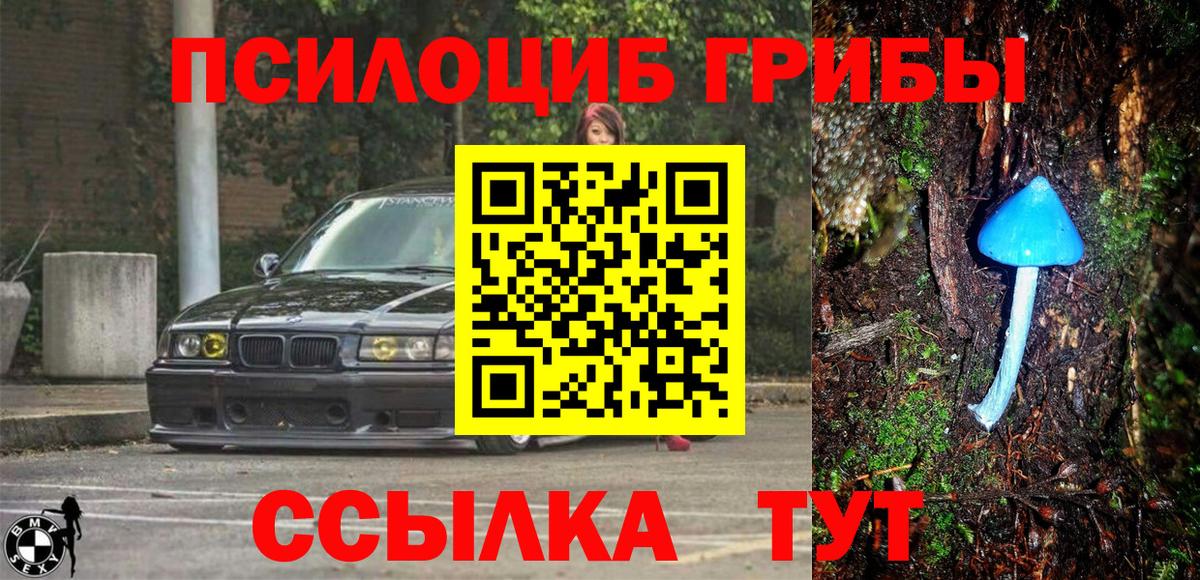 Галлюциногенные грибы Cubensis  Вход с VPN  Кумертау  Псилоцибиновые грибы GOLDEN TEACHER 
